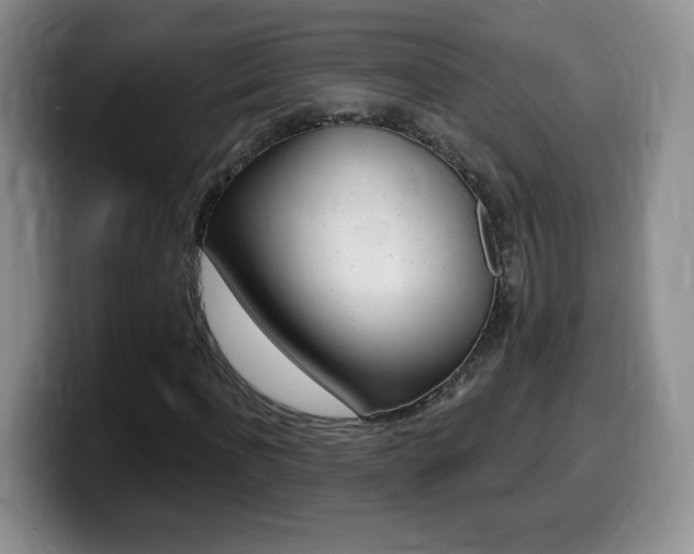 X0000099480916200805090830