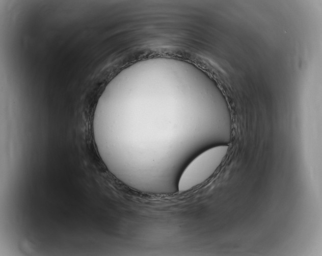 X0000099480917200805090830