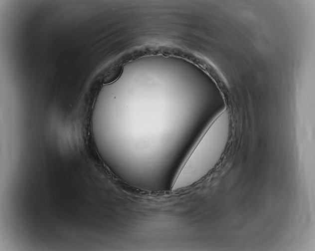 X0000099480919200805090830