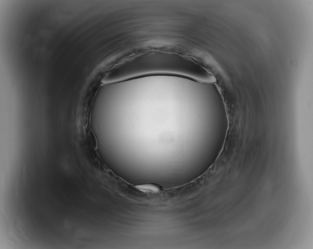 X0000099480920200805090830