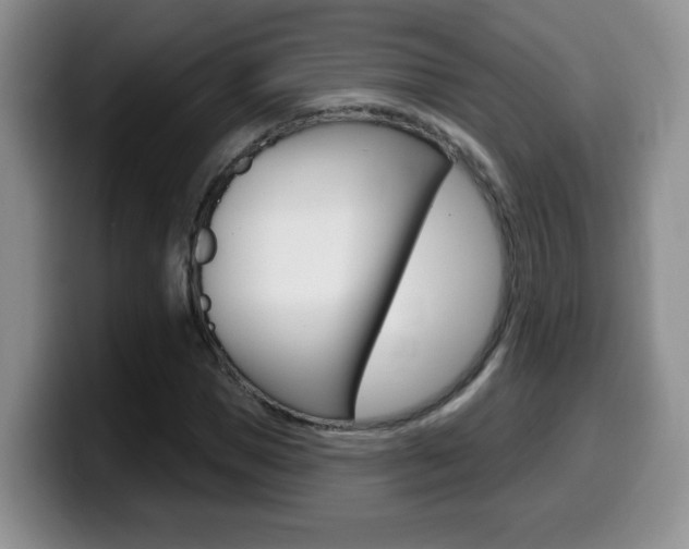 X0000099480921200805090830