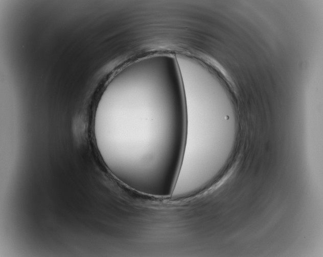 X0000099480922200805090830