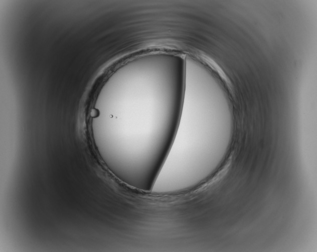 X0000099480923200805090830