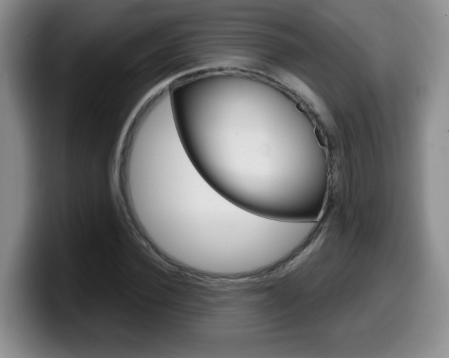 X0000099480924200805090830