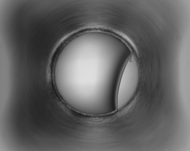 X0000099480927200805090830