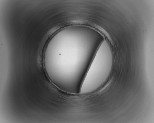 X0000099480930200805090830