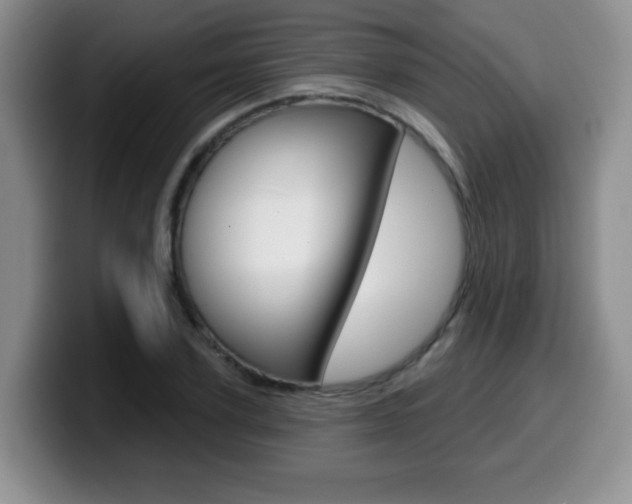 X0000099480931200805090830