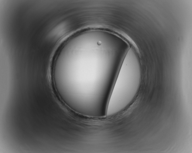 X0000099480935200805090830