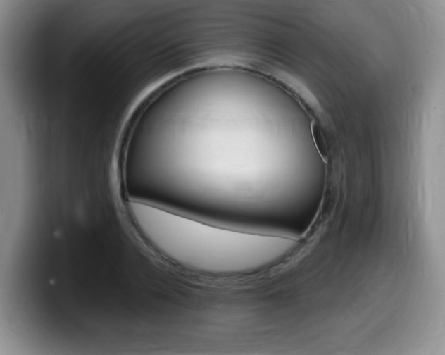 X0000099480936200805090830