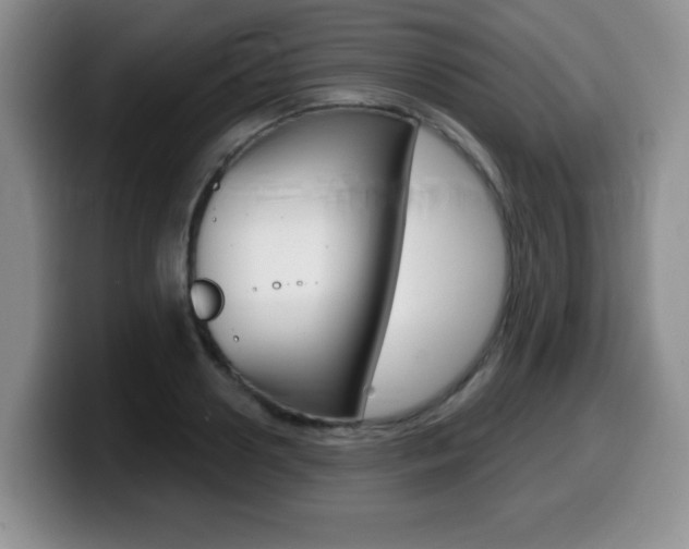 X0000099480938200805090830