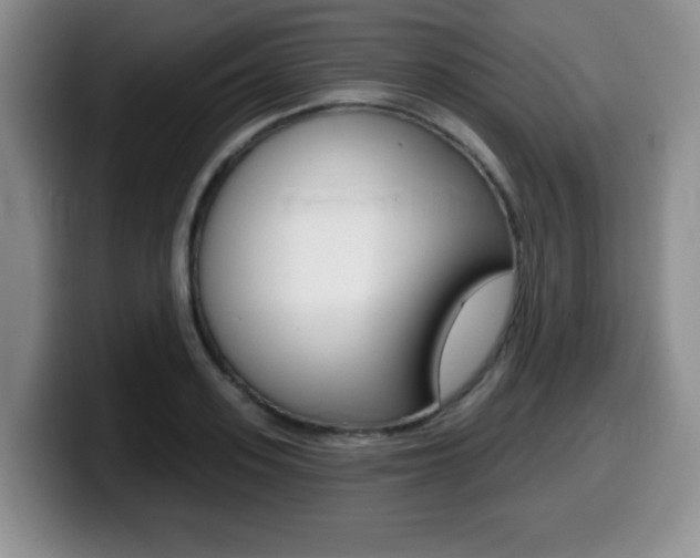 X0000099480939200805090830