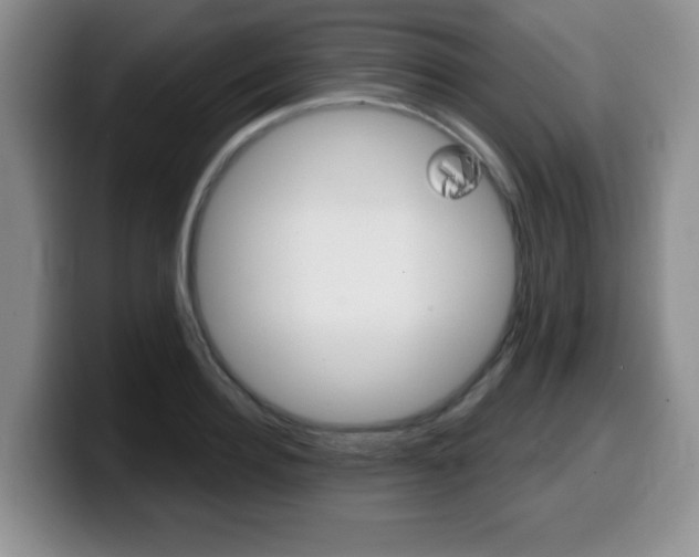 X0000099480940200805090830