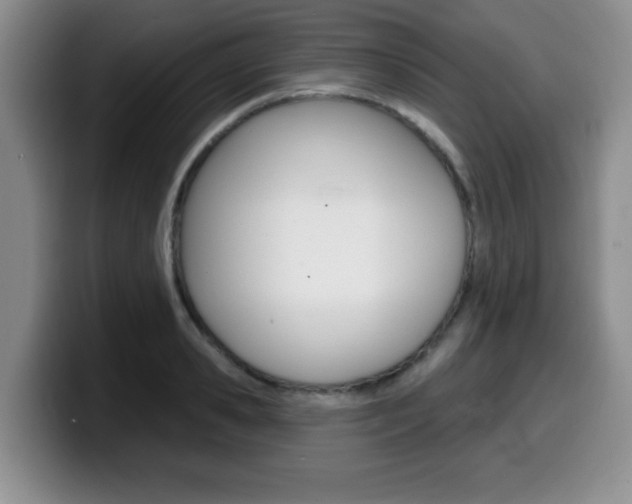 X0000099480941200805090830