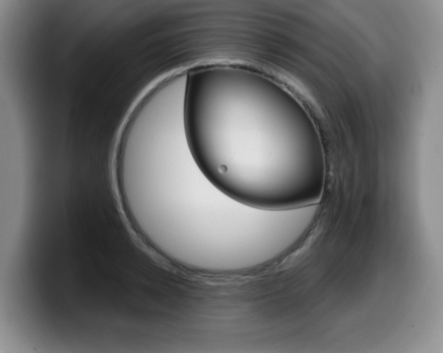 X0000099480942200805090830