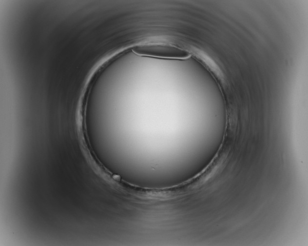 X0000099480944200805090830