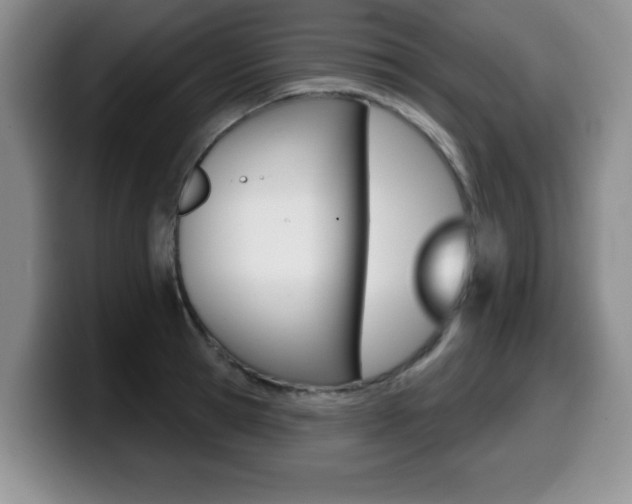 X0000099480945200805090830