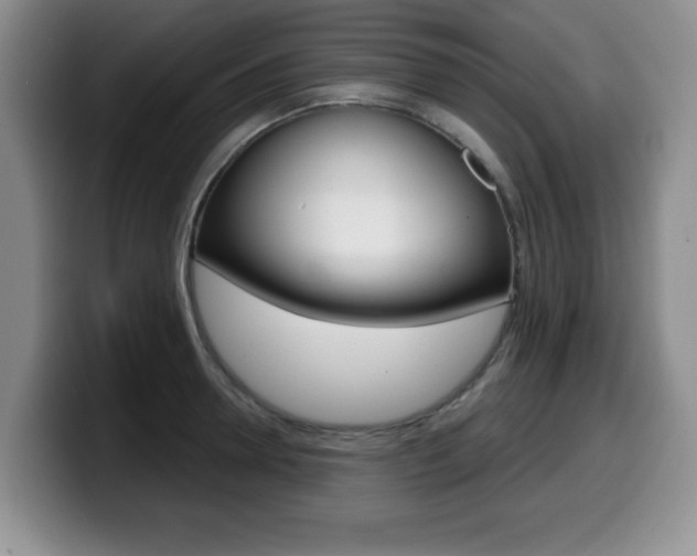 X0000099480946200805090830