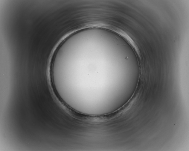 X0000099480947200805090830