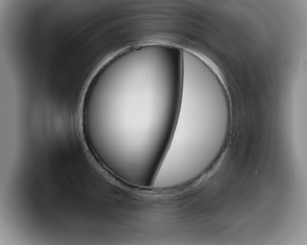 X0000099480949200805090830