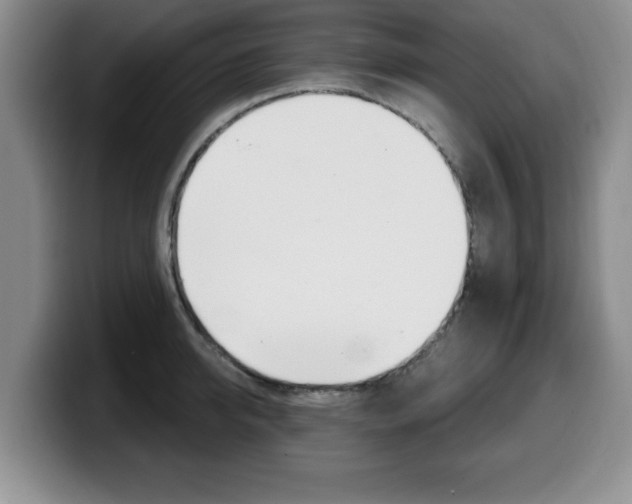 X0000099480950200805090830