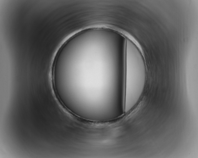 X0000099480951200805090830