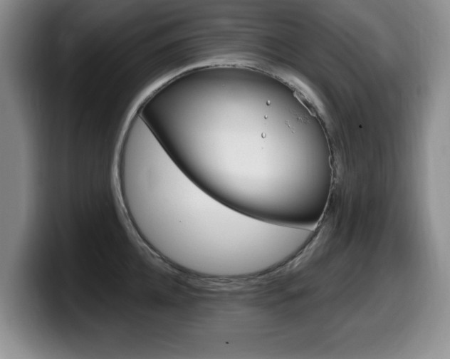 X0000099480952200805090830