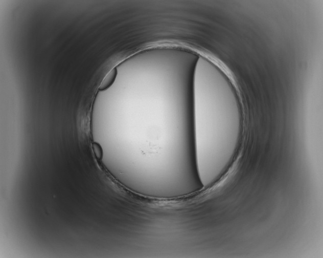 X0000099480953200805090831