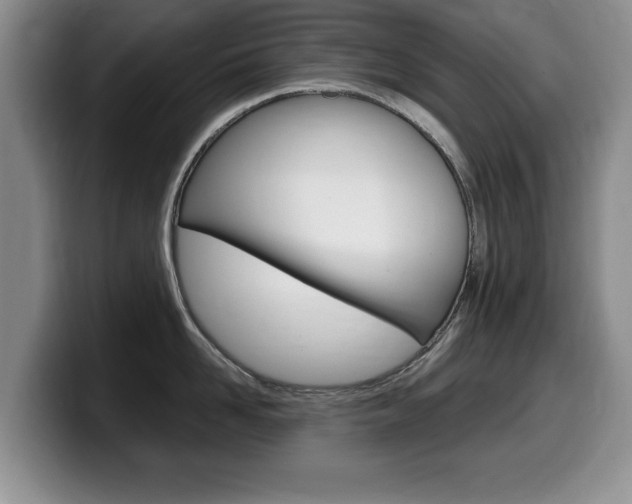 X0000099480958200805090831