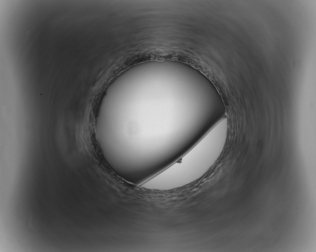 X0000099480961200805090830