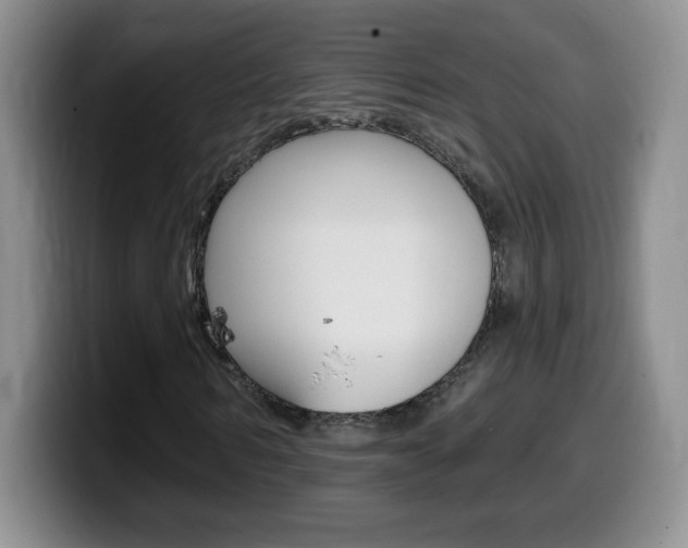 X0000099480962200805090830