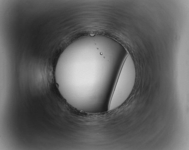 X0000099480963200805090830