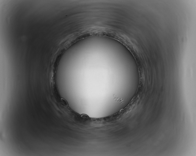 X0000099480964200805090830