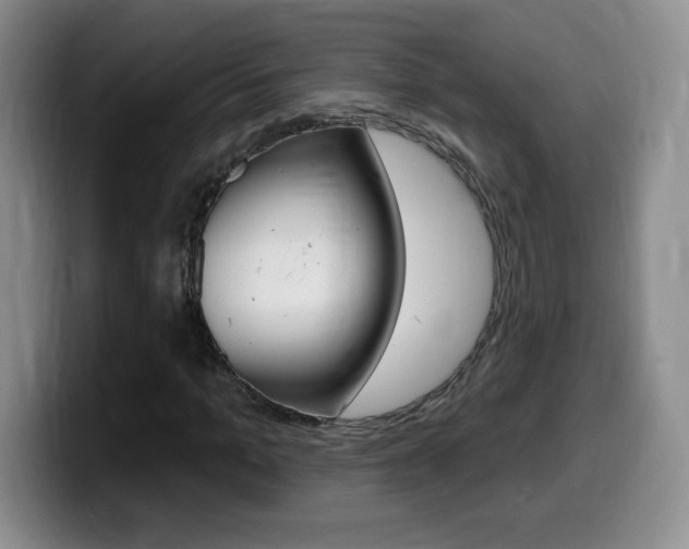 X0000099480965200805090830