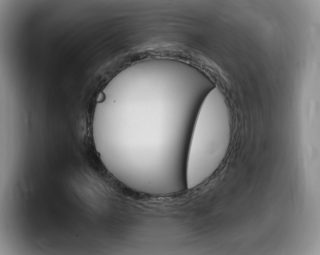 X0000099480966200805090830