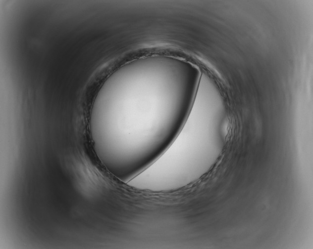 X0000099480967200805090830
