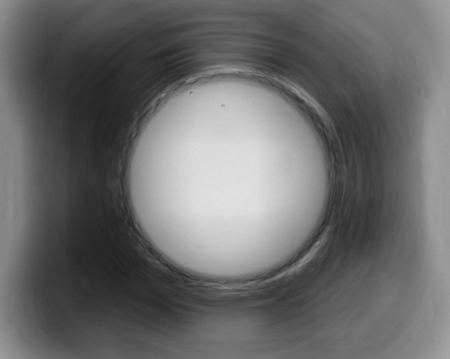 X0000099480969200805090830