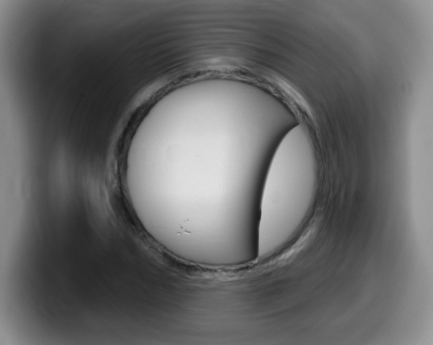 X0000099480970200805090830