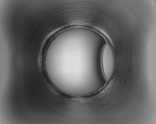 X0000099480971200805090830