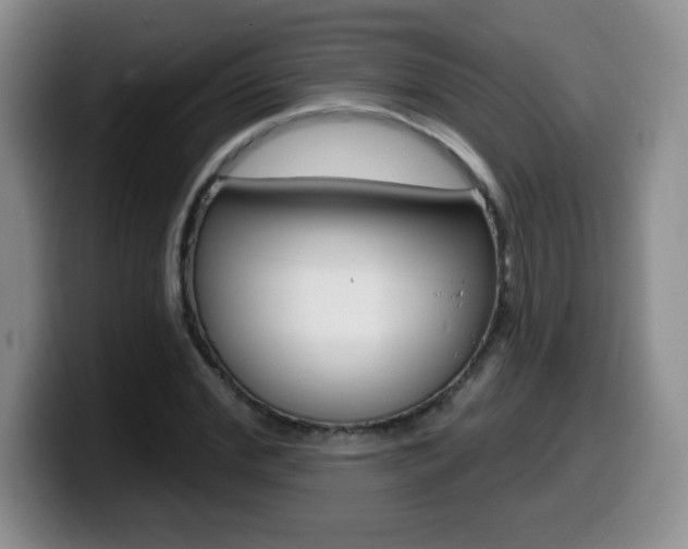 X0000099480972200805090830