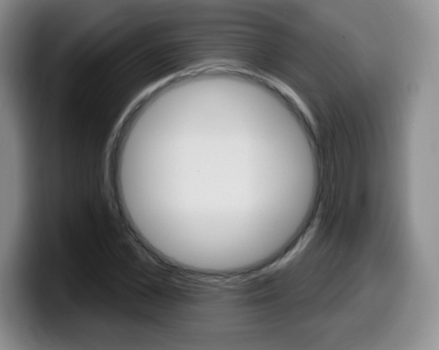 X0000099480973200805090830