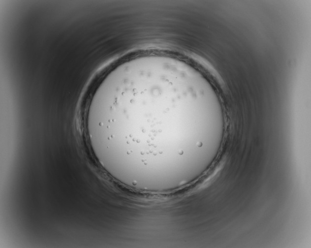 X0000099480974200805090830