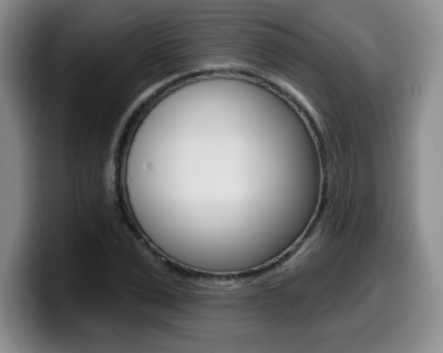 X0000099480975200805090830