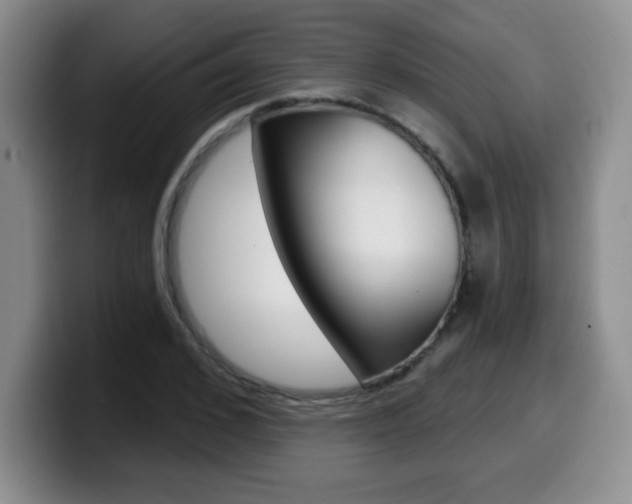 X0000099480976200805090830