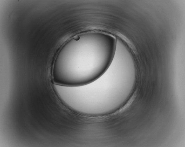 X0000099480977200805090830