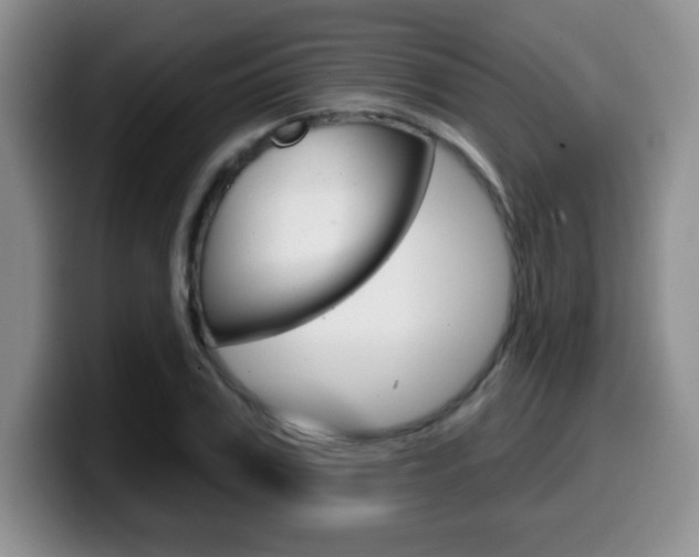 X0000099480979200805090830