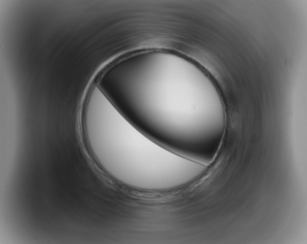 X0000099480980200805090830