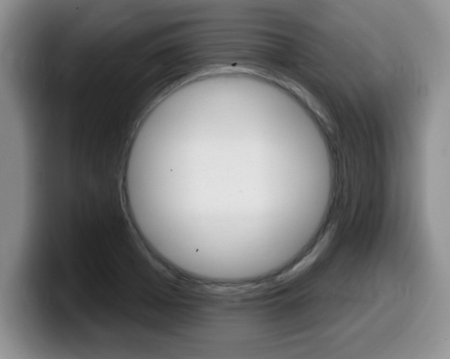 X0000099480985200805090830