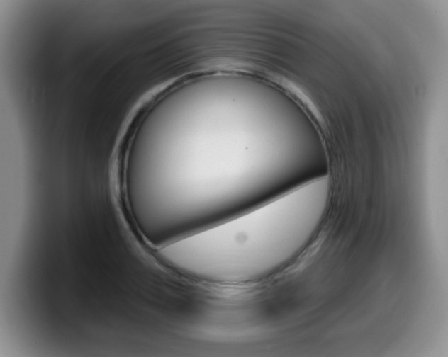X0000099480987200805090830