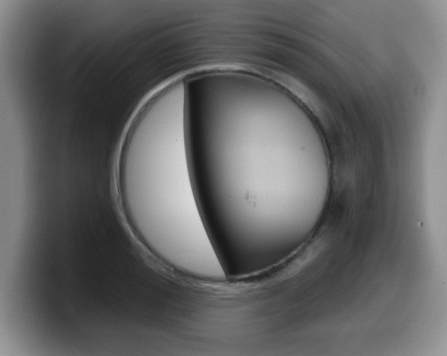 X0000099480988200805090830