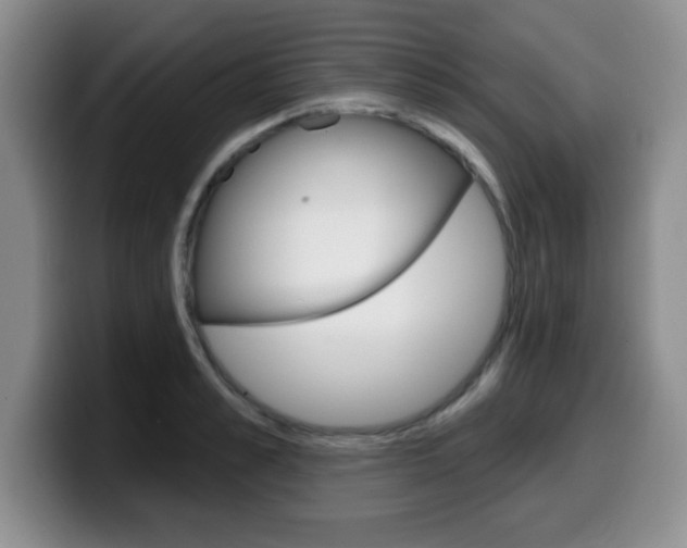 X0000099480989200805090830